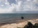 IMG952171